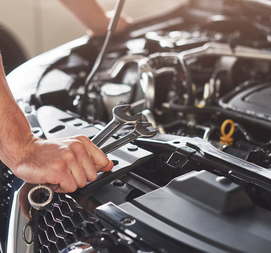 Disques plaquettes près de Le Palais-sur-Vienne